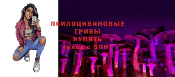 ПСИЛОЦИБИНОВЫЕ ГРИБЫ Магадан