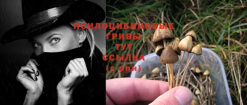 ОМГ ОМГ как войти  Сыктывкар  Галлюциногенные грибы Magic Shrooms  купить закладку 