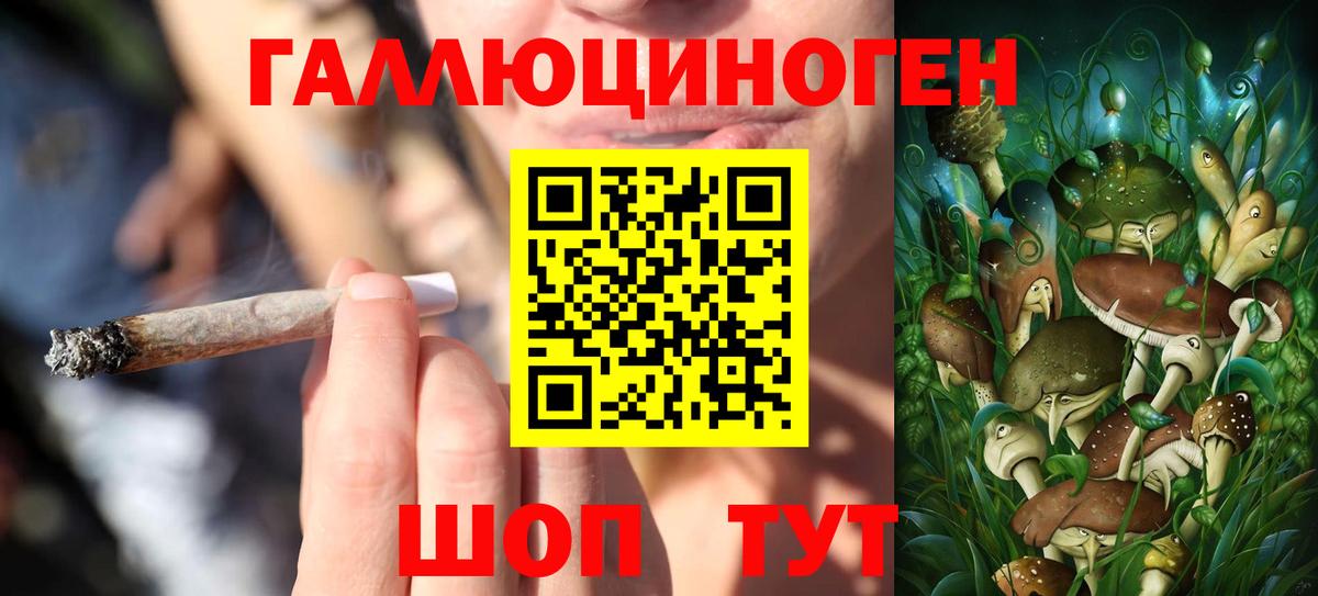 Псилоцибиновые грибы Magic Shrooms Сыктывкар