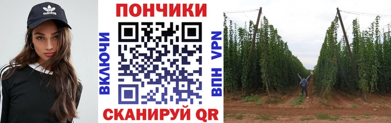 МАРИХУАНА план  купить наркотики сайты  МЕГА ONION  Сыктывкар 